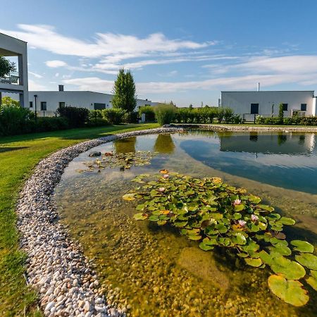 Apartment With Pool, Roof Terrace, Garden Zsira Экстерьер фото